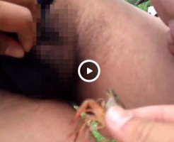 【Vine動画】イケメンのチン毛ボーボーのタマに向けられたザリガニ…袋を挟まれ悲鳴ｗｗ